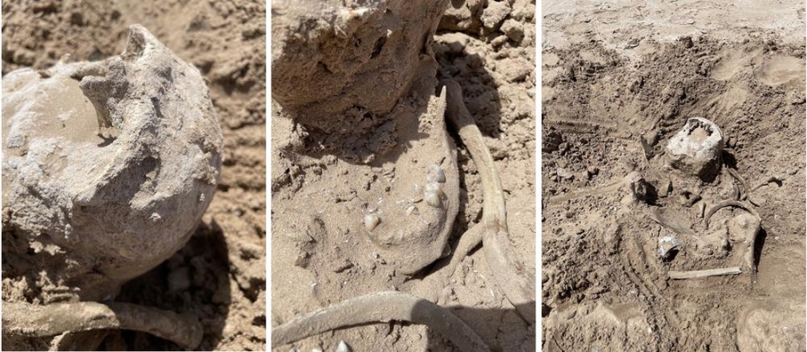 Pandemic, climate change, water shortages and now…