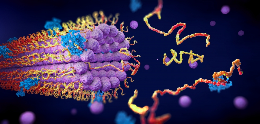 The miraculous potential of enzymes. Can they do more than clean?