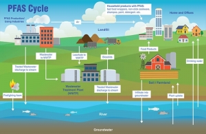 PFAS cycle in the environment