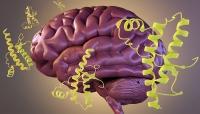 Persistent Prions and the Power of Prevention