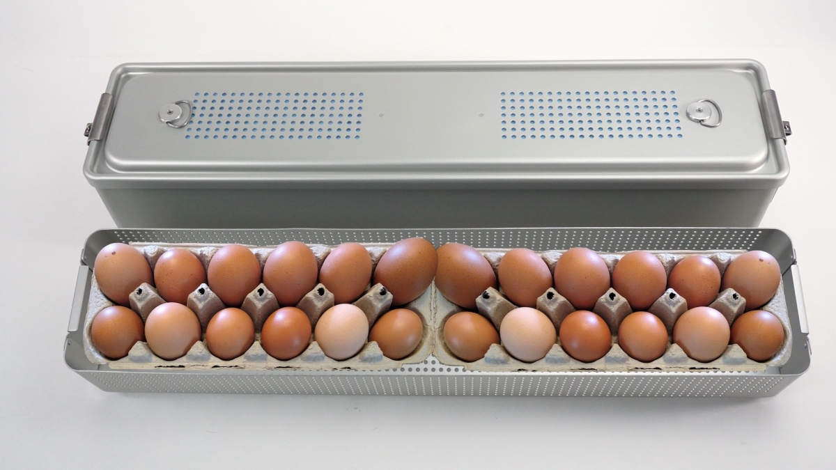 The Incredible Egg Washer