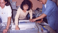 Building the Right Procedure Tray for Your Healthcare Facility